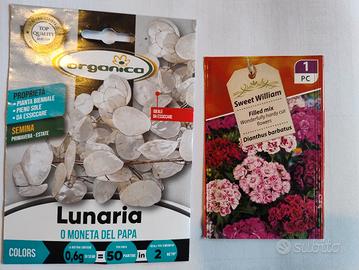 sementi di Garofano e Lunaria 