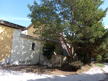 Fabbricati e terreni