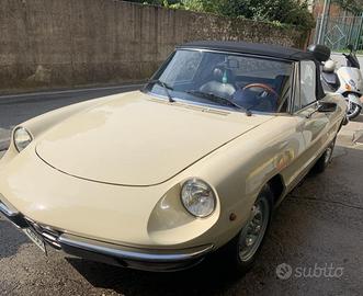 Alfa Spider coda tronca 1600