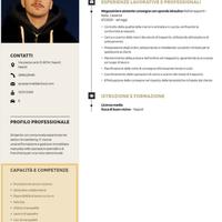 Magazziniere/aiutante autista consegne sponda idra