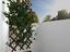 Immagine 28