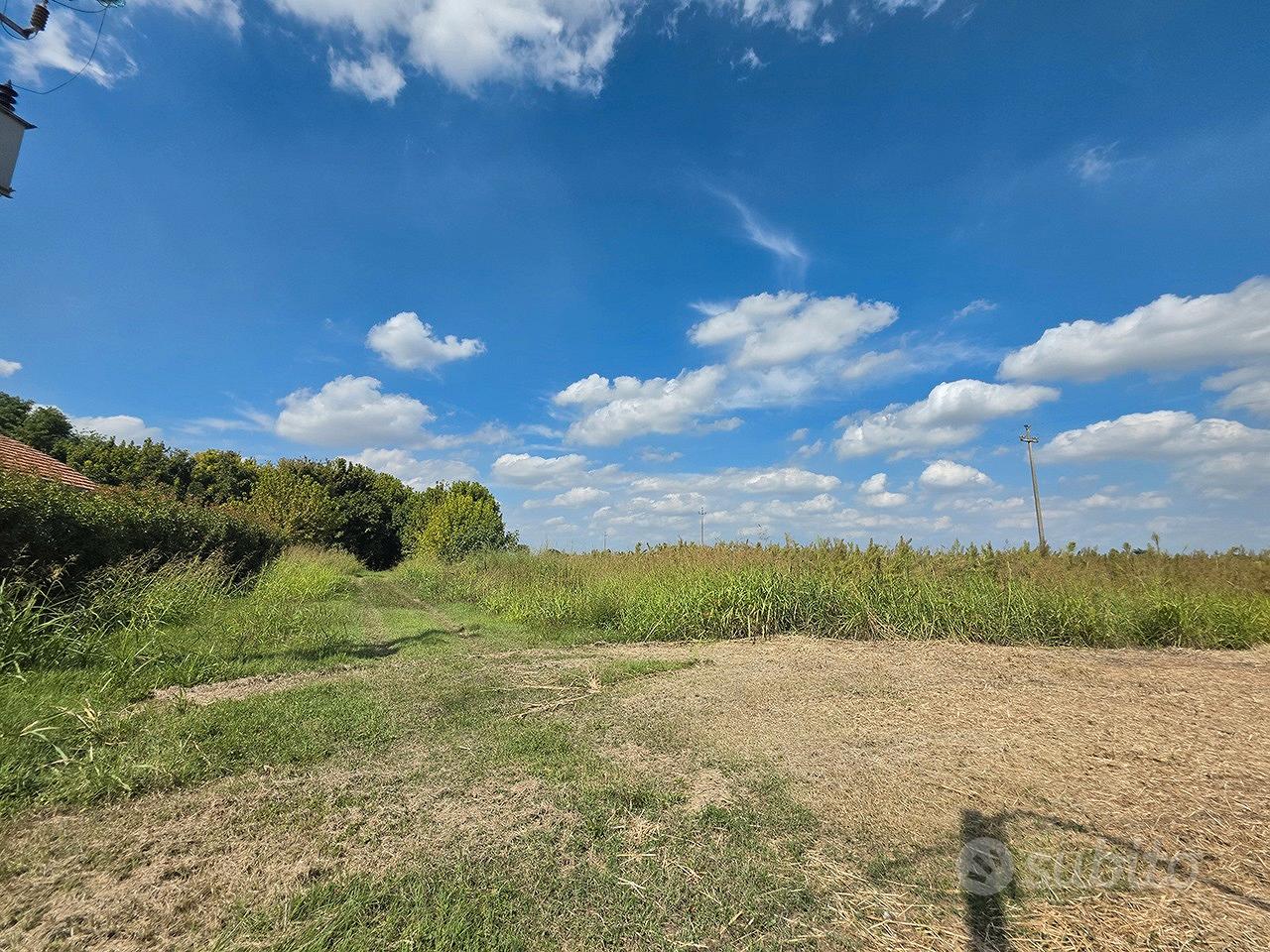Erreno agricolo 2.23 Ha Copparo (FE) 30.000 Euro - Altro