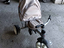 Immagine 6