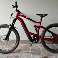 Mountain Bike e-bike