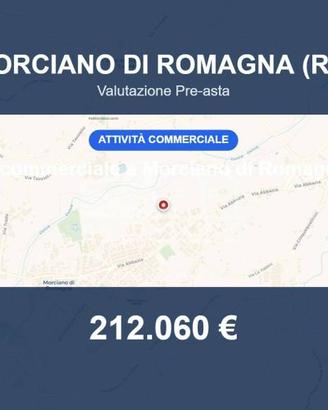 Immobile in asta di 46558 m² a Morciano di Romagna
