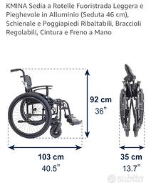 Sedia a rotelle