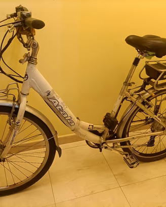 Bicicletta a pedalata assistita .