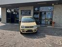 fiat-panda-1-4-dynamic-natural-power-mamy-neo-pate