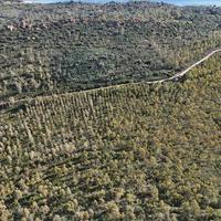 Terreno Agricolo Tortolì [Cod. rif 3288106VCG]