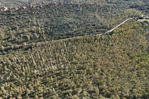 Terreno Agricolo Tortolì [Cod. rif 3288106VCG]