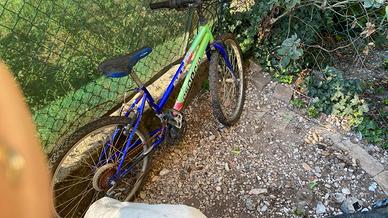 Bicicletta