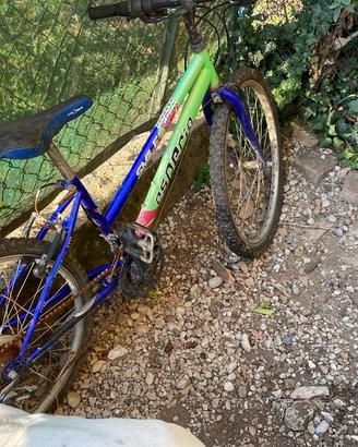 Bicicletta