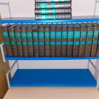 Enciclopedia Rizzoli Larousse completa 21volumi