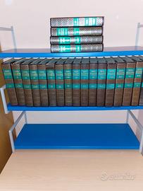 Enciclopedia Rizzoli Larousse completa 21volumi