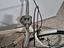 Immagine 5