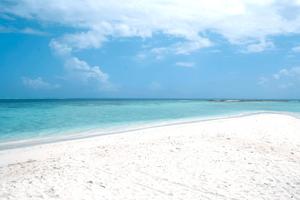 Mare Toscana 2026 Appartamento Villa