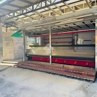 ATTIVITÀ A BRACCIANO