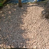 Ciottoli ornamentali giardino rosa corallo 15/25mm