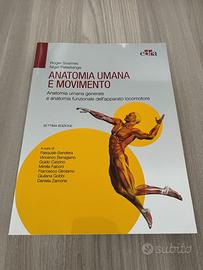 Anatomia umana e movimento