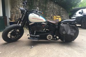Harley springer softail bobber