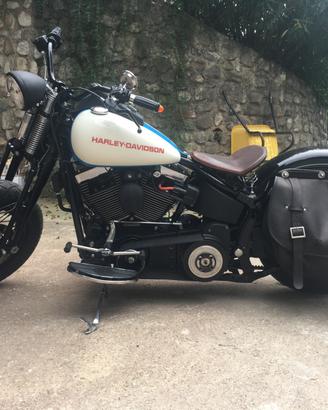 Harley springer softail bobber
