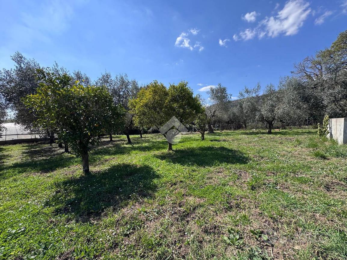 TER. AGRICOLO A TREVIGNANO ROMANO - Vista 3