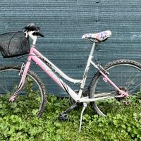 Bicicletta Mountain bike