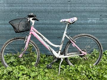 Bicicletta Mountain bike