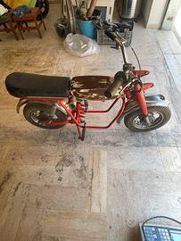 Mini moto BIEMME - RUPP ROADSTER