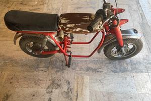 Mini moto BIEMME - RUPP ROADSTER