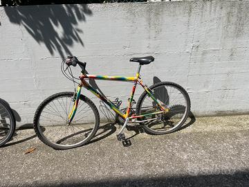 Bicicletta Zarma