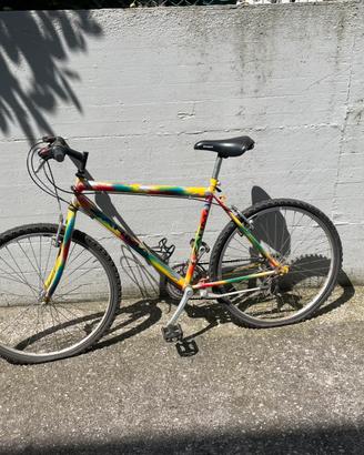 Bicicletta Zarma