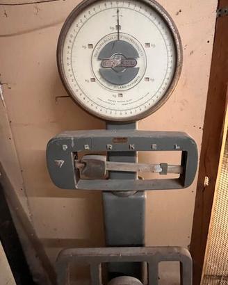 Bilancia - Portata 421 kg