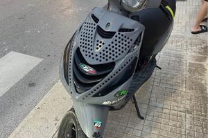 Zip sp piaggio