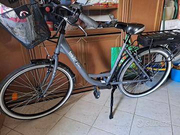 Bici elettrica