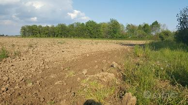 Azienda agricola 100 ha