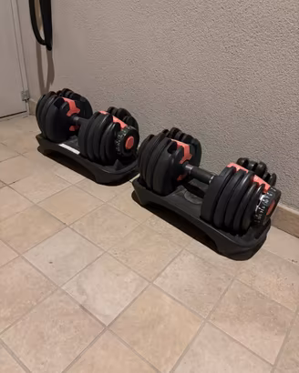 Manubri con pesi regolabili