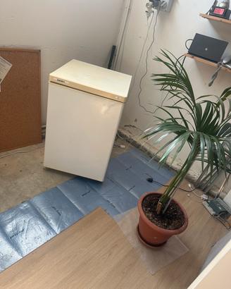 Frigo basso