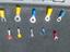Immagine 2