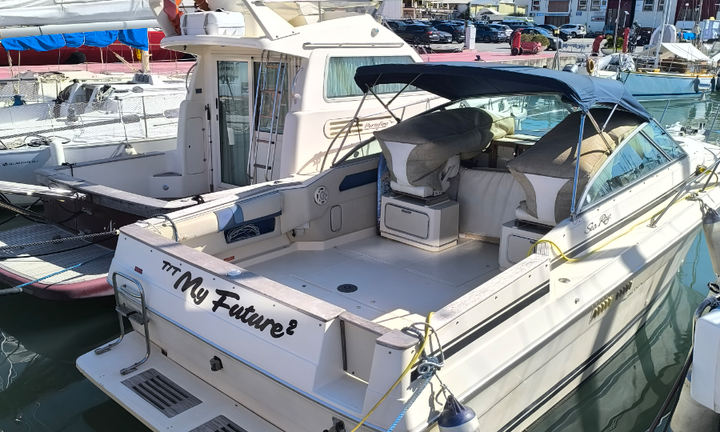 Sea Ray 270 amberjack