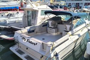 Sea Ray 270 amberjack