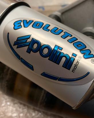 RARA Marmitta Polini Evolution 50 cc Art. 200.0245