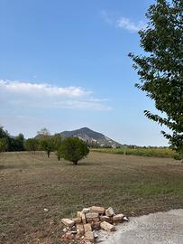 Terreno agricolo