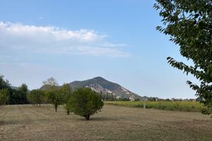 Terreno agricolo