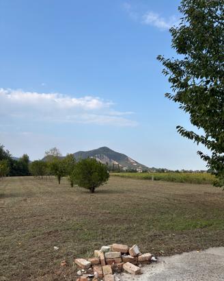 Terreno agricolo