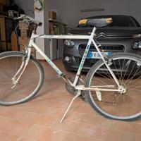 Bicicletta Olmo