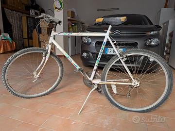 Bicicletta Olmo
