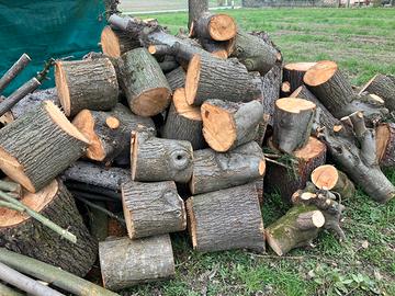 Legna da ardere da tagliare