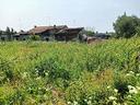rustico-casale-corte-castelnuovo-del-garda