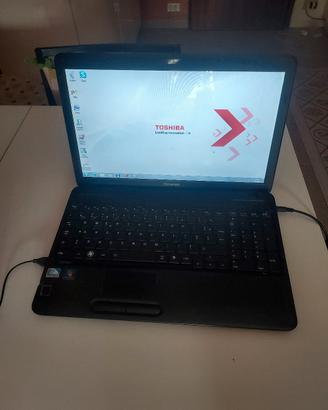 toshiba satellite  leggere